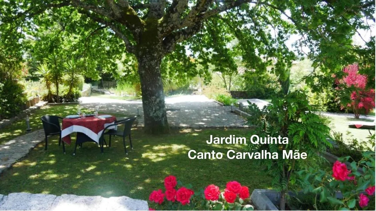 Quinta Monteluz Apartamento Viseu