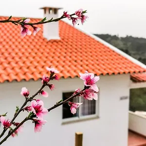 Сasa de vacaciones O Refúgio, Coímbra